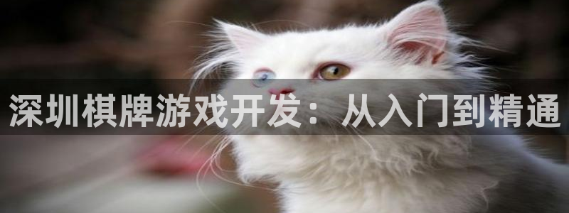 沐鸣娱乐2官方