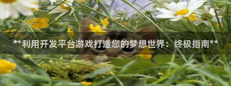 沐鸣2官网注册地址