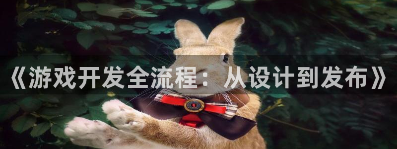沐鸣娱乐2如何找回密码：《游戏开发全流程：从设计到发布》