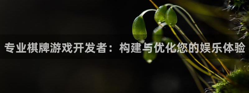 沐鸣2测速登陆：专业棋牌游戏开发者：构建与优化您的娱乐体验