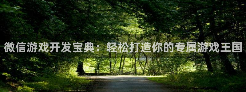 沐鸣2平台代理注册：微信游戏开发宝典：轻松打造你的专属游戏王国