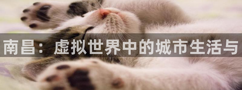 沐鸣2平台是杏彩的吗：南昌：虚拟世界中的城市生活与