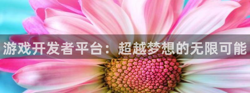 沐鸣2登录地址：游戏开发者平台：超越梦想的无限可能