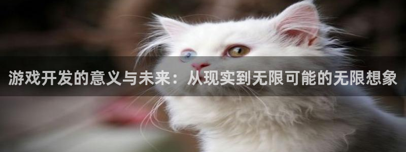 沐鸣2手机网页版：游戏开发的意义与未来：从现实到无限可能的无限想象