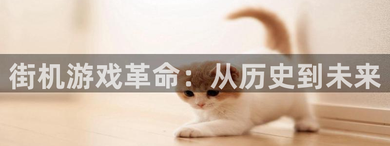 沐鸣娱乐2登录平台是什么软件：街机游戏革命：从历史到未来