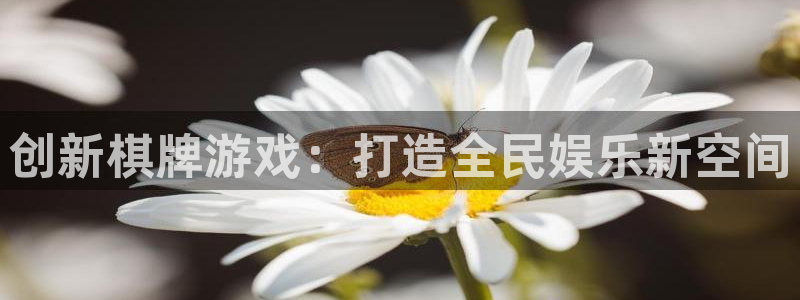 沐鸣2娱乐平台登录客服：创新棋牌游戏：打造全民娱乐新空间