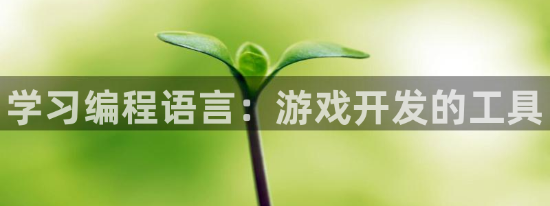沐鸣2测速登陆：学习编程语言：游戏开发的工具